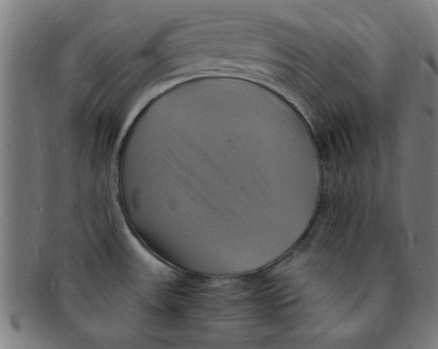 X0000091501531200709131840