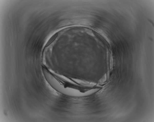 X0000091501532200709131840