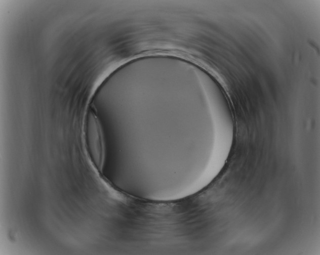 X0000091501533200709131840