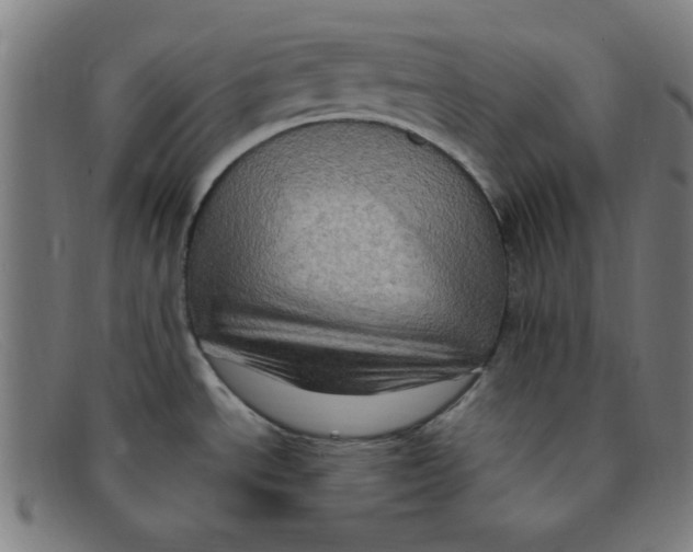 X0000091501534200709131840