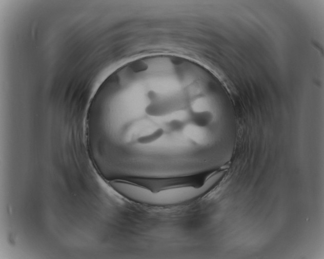 X0000091501535200709131840