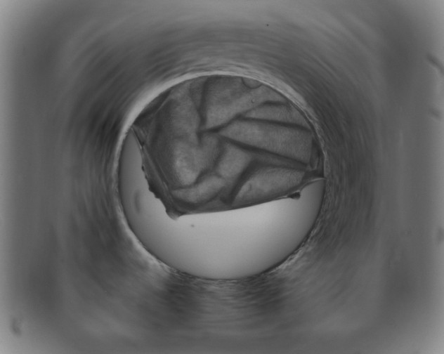 X0000091501536200709131840