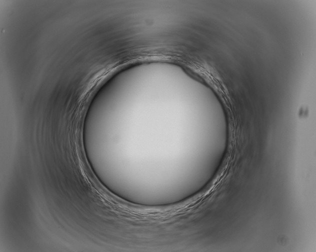 X0000091510001200708170958