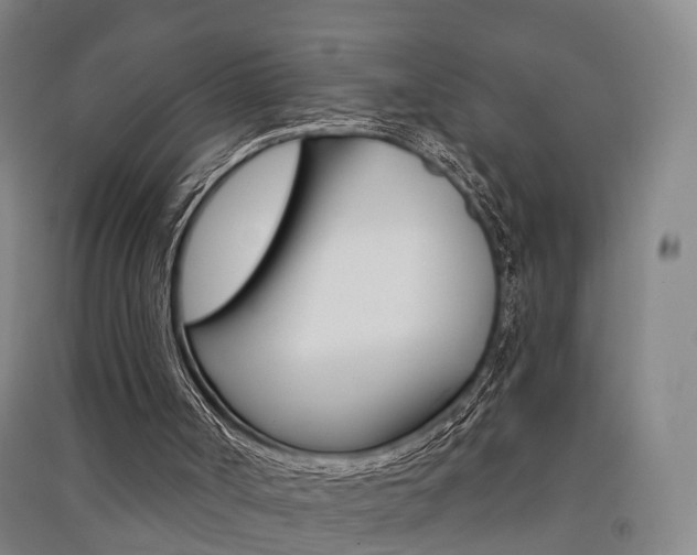 X0000091510002200708170958