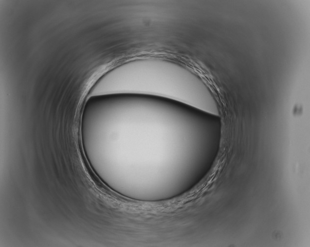 X0000091510003200708170958