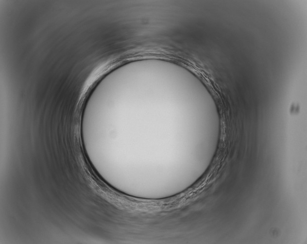X0000091510004200708170958