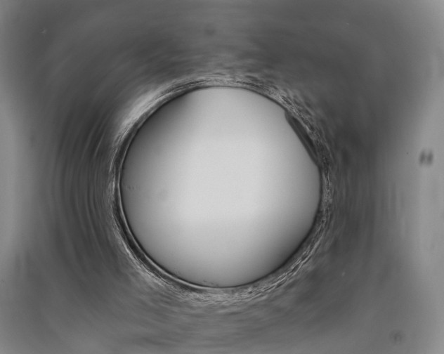 X0000091510005200708170958