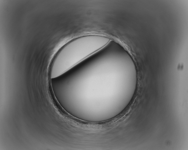 X0000091510008200708170958