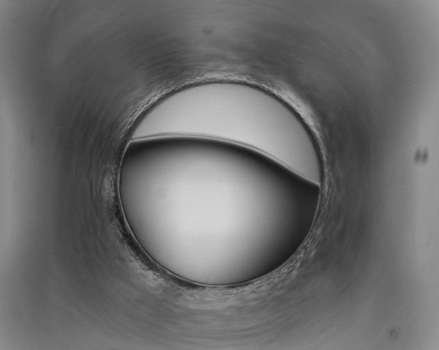 X0000091510009200708170958