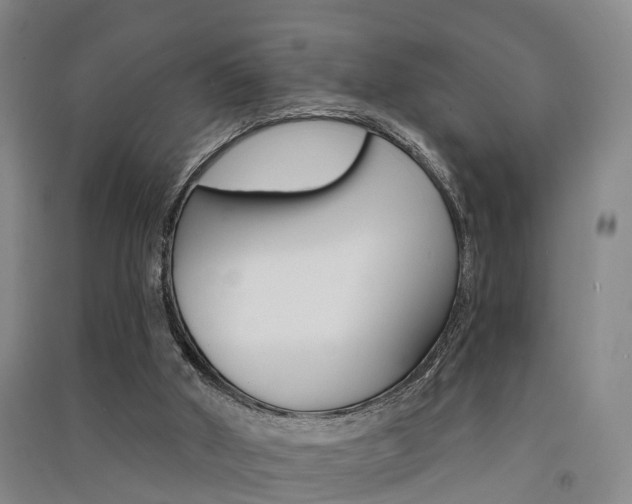 X0000091510010200708170958