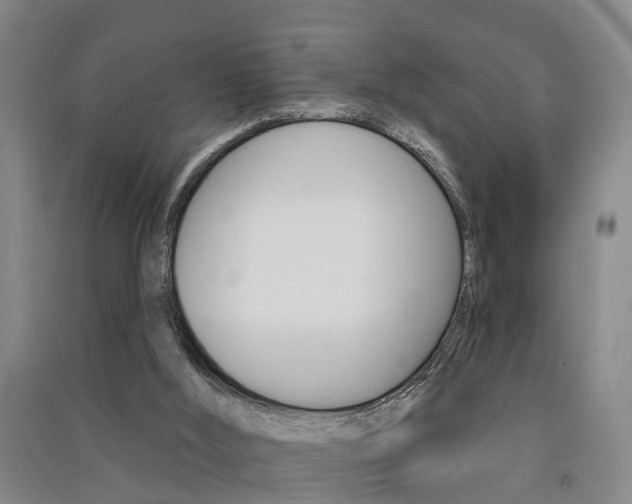 X0000091510012200708170958