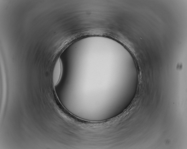 X0000091510013200708170958
