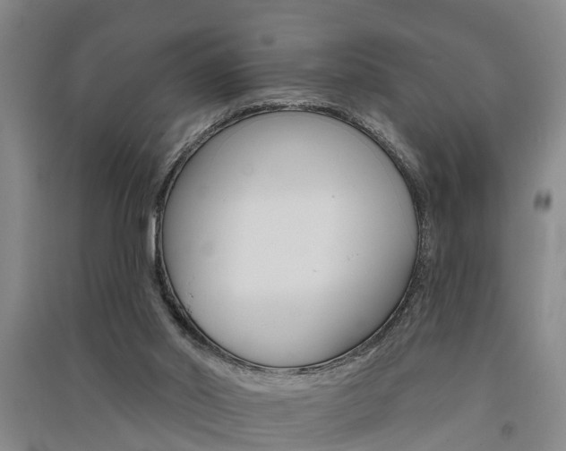 X0000091510014200708170958