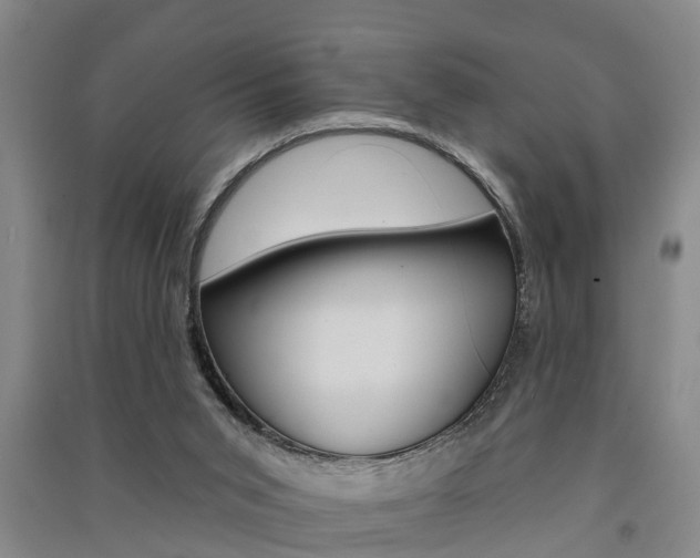 X0000091510015200708170958