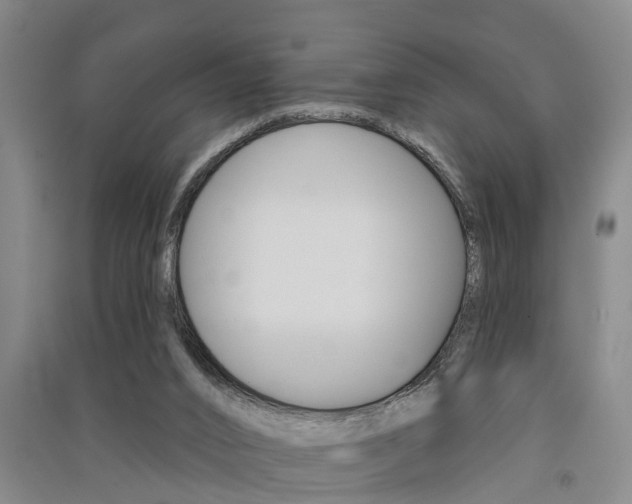 X0000091510016200708170958