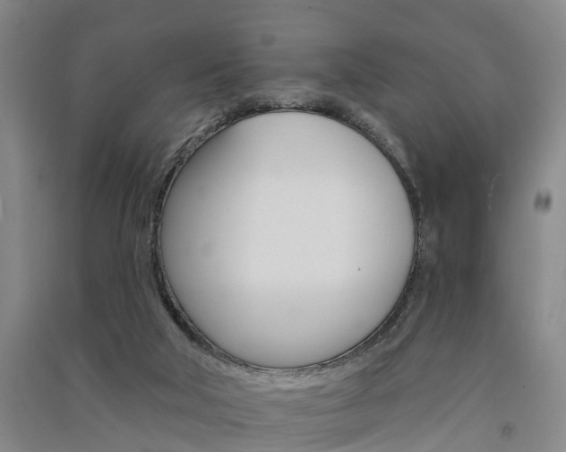 X0000091510018200708170958