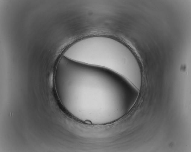 X0000091510019200708170958