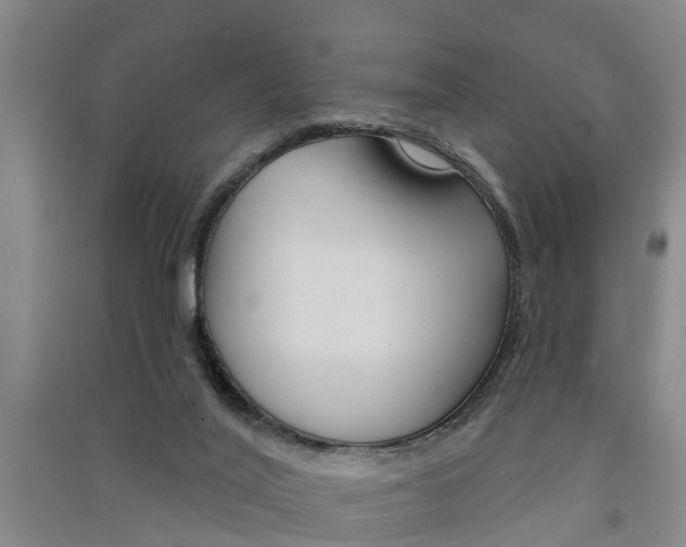 X0000091510020200708170958