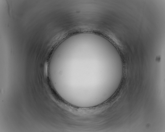 X0000091510022200708170958