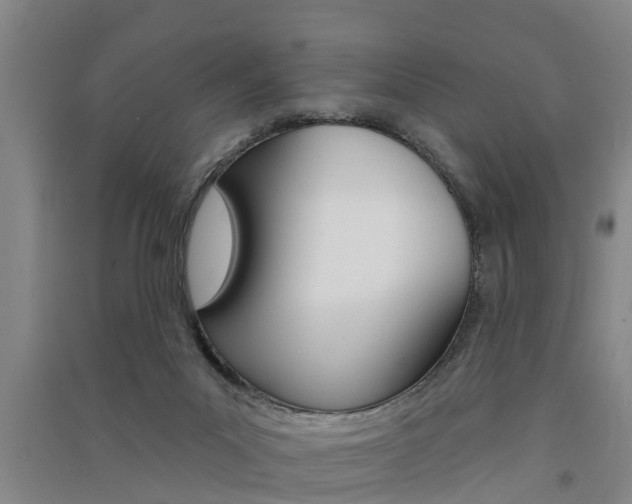 X0000091510023200708170958