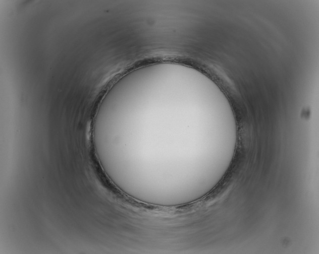 X0000091510024200708170958