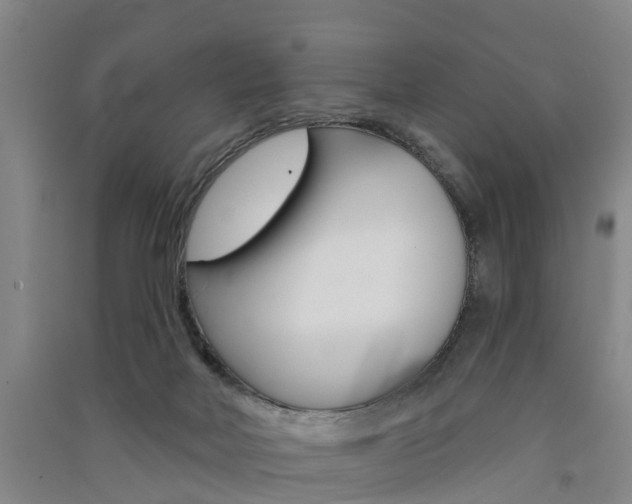 X0000091510026200708170958