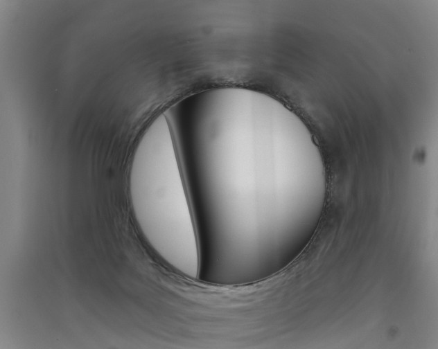 X0000091510027200708170958