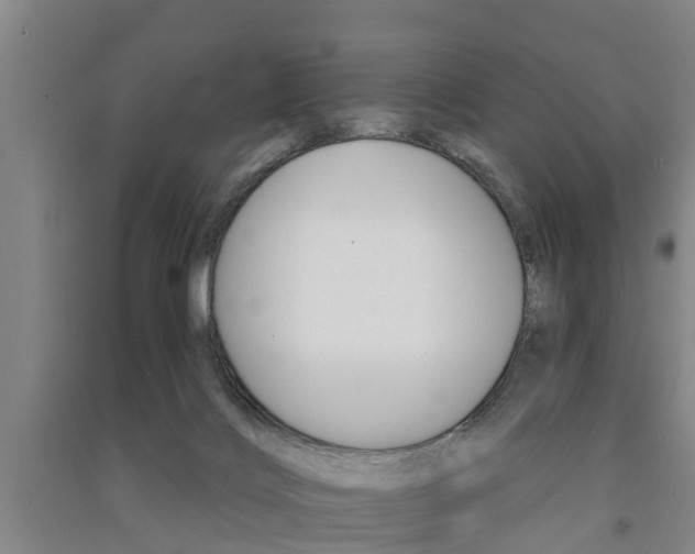 X0000091510028200708170958