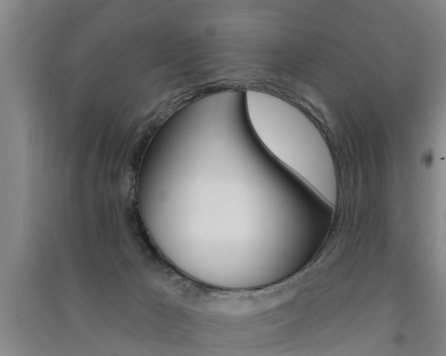 X0000091510029200708170958