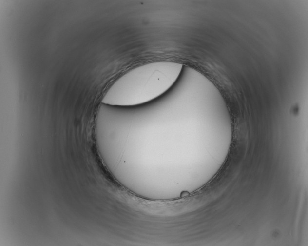 X0000091510030200708170958