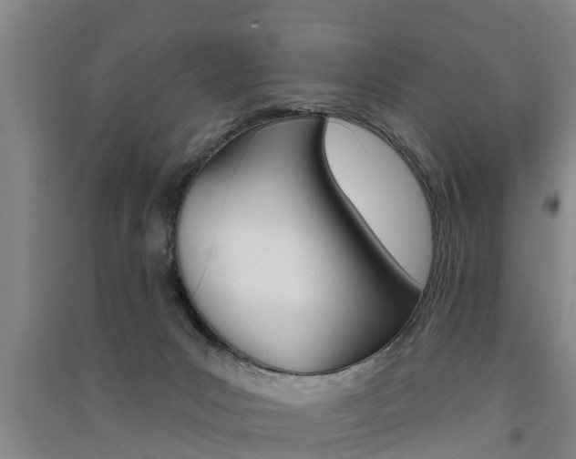 X0000091510031200708170958