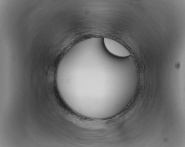 X0000091510032200708170958