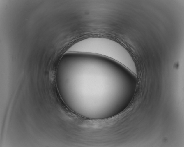X0000091510033200708170958