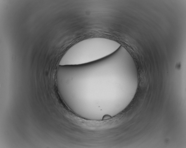 X0000091510034200708170958