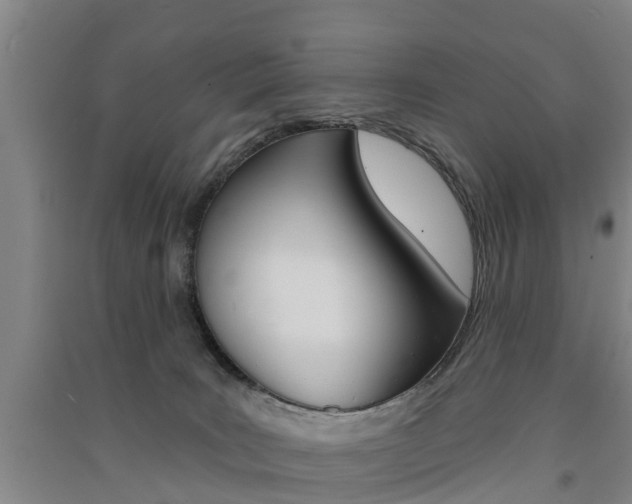 X0000091510035200708170958