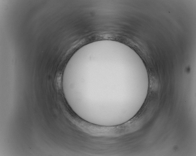 X0000091510036200708170958