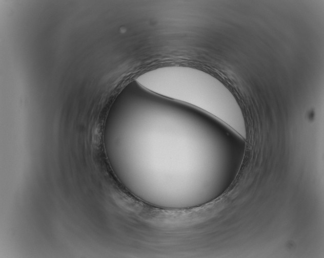 X0000091510037200708170958