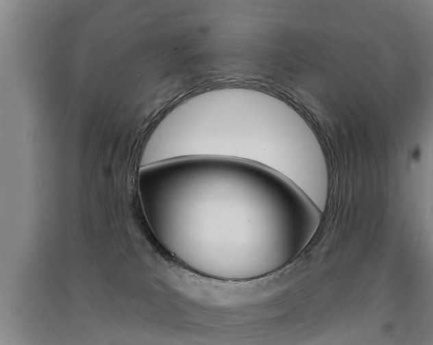 X0000091510039200708170958