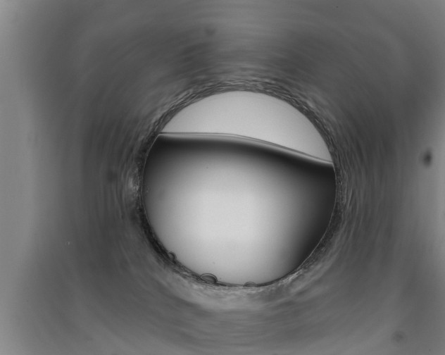 X0000091510040200708170958