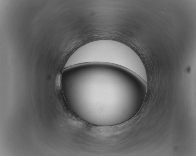 X0000091510041200708170958