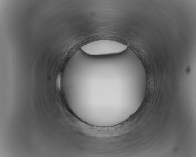 X0000091510042200708170958