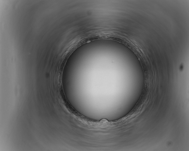 X0000091510044200708170958