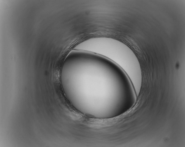 X0000091510045200708170958