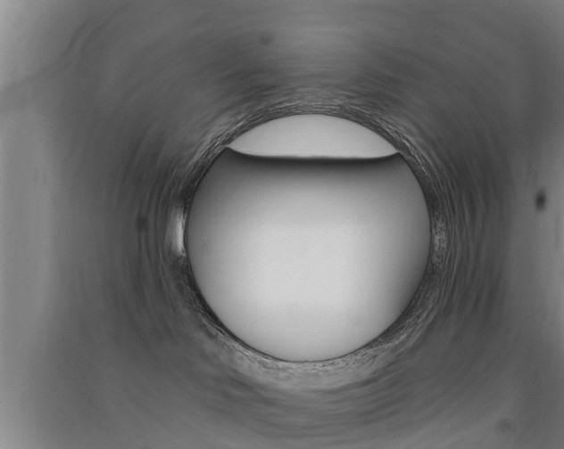 X0000091510046200708170958
