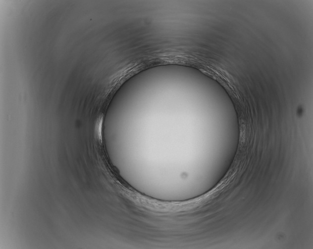X0000091510047200708170958
