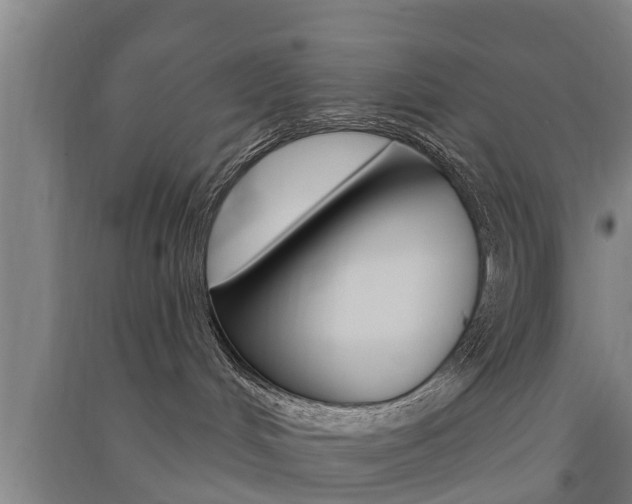 X0000091510048200708170958
