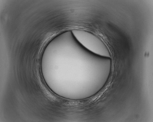 X0000091510049200708170957