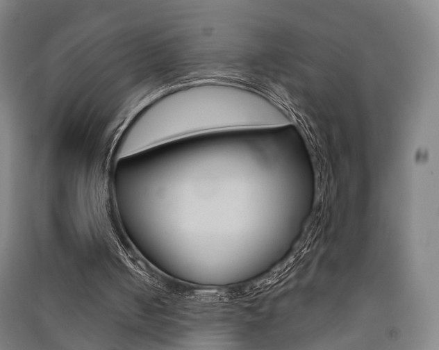 X0000091510050200708170957
