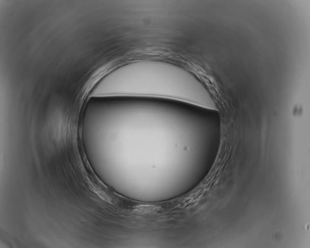 X0000091510051200708170957