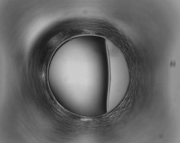 X0000091510052200708170957
